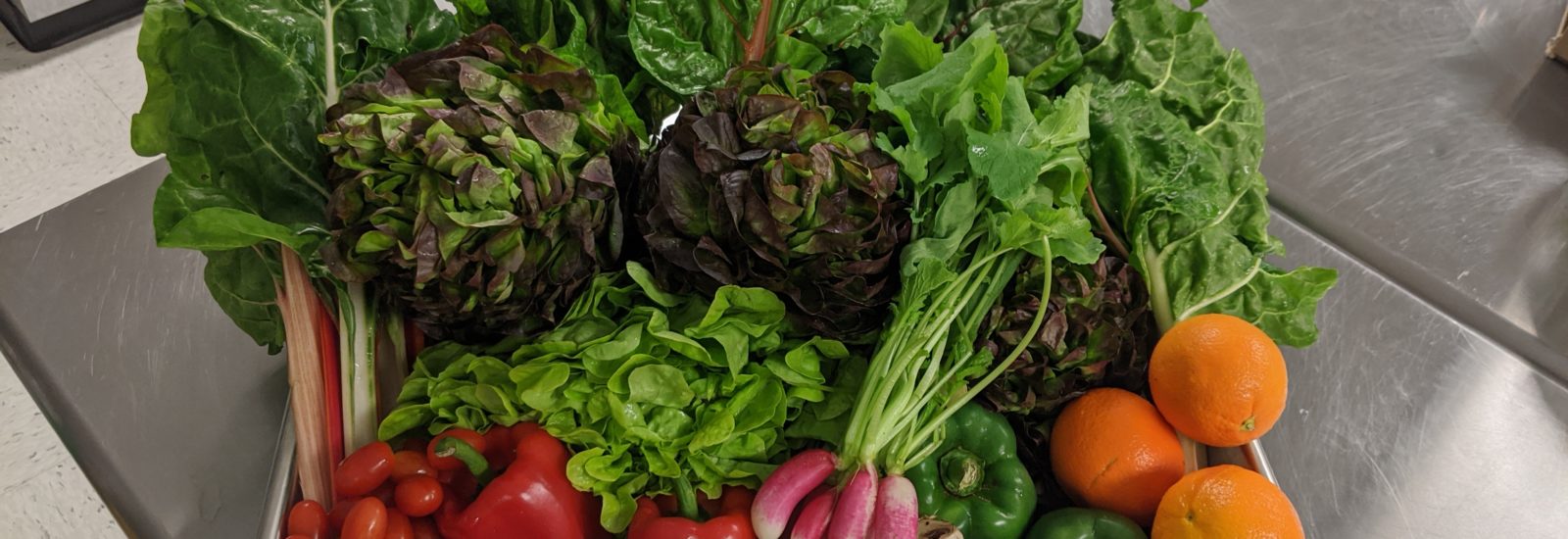 Conestoga Valley Christian Community Services Food & Clothing Bank